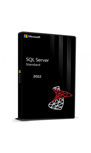 Microsoft SQL Server Standard 2022 Cd Key Global