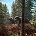 theHunter Call of the Wild - Duck and Cover Pack DLC Cd Key Steam Global