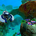 Subnautica cd key Steam 