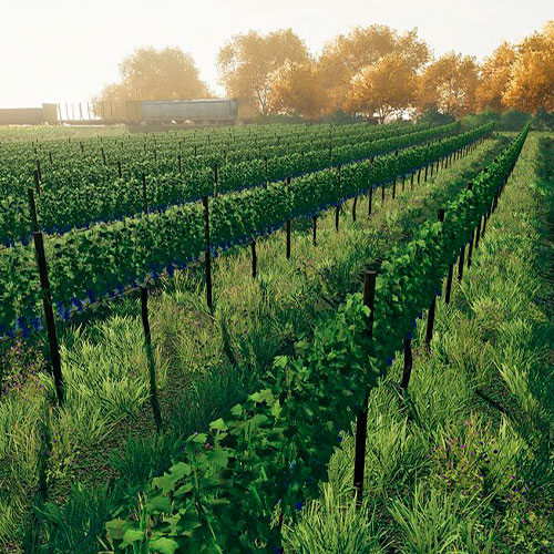 El Paso Vineyard Vines Outlet Coupons From Florence: Classic