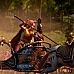 A Total War Saga - Troy Rhesus & Memnon DLC Eur (PC Steam Key / Europe)