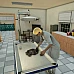 Animal Doctor (PC Steam Key / Global)
