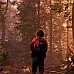 „As Dusk Falls“ (PC Steam Key / Global)