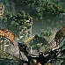 Beautiful Desolation (PC Steam Anahtar / Global)