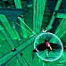 Boomerang X (PC Steam Anahtar / Global)