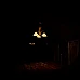 Damned (PC Steam Key / Global)