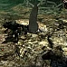 Disciples III - Renaissance (PC Steam Key / Global)