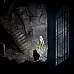 Divinity: Original Sin - The Source Saga (PC EA App Key / Global)