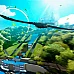 Eagle Flight (PC Steam Key / Global)