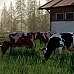 Farming Simulator 19 (PC Steam Key / Global)