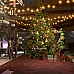 First Class Trouble Christmas Pack DLC (PC Steam Key / Global)