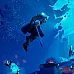 Frozen Flame (PC Steam Key / Global)