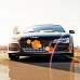 Project Cars Limited Edition (PC Steam Key / Global)