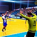 Handball 16 (PC Steam Key / Global)