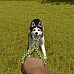 House Flipper - Pets DLC (Κλειδί για PC Steam / Global)