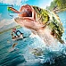 Legendary Fishing Nintendo Switch Avrupa (PC Steam Anahtarı / Avrupa)