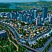 Cities Skylines (PC Steam Anahtar / Global)