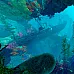 Maneater Day One Edition Europe (PC Epic Games Key / Europe)