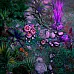 Pathfinder Kingmaker (PC Steam Key / Global)