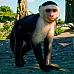 Planet Zoo: South America Pack DLC (PC Steam Key / Global)