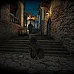Sniper Elite VR (clé PC Steam / Global)