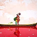 Spiritfarer מהדורת הפרידה (PC, מפתח Steam / גלובלי)