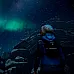 Through the Woods: Collector's Edition (PC Steam Key / Global)