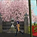 Tokyo Dark Collectors Edition (PC Steam-code / Global)