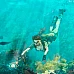 Tomb Raider: Legend (PC Steam Key / Global)