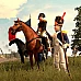 Total War: Napoleon – Definitive Edition Europa (PC Steam Key / Europa)