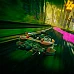 Trailblazers Nintendo Switch Europa (Nintendo Switch Schlüssel / Europa)