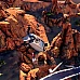 Trials Fusion Season Pass (PC-Ubisoft-Connect-Key / Global)