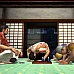 Yakuza 3 Remastered Europa (PC Steam Key / Europa)
