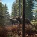 theHunter Call of the Wild - ATV SABER 4X4 DLC Glob (PC Steam Key / Global)