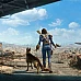 Season Pass για το Fallout 4 (Κωδικός PC Steam / Global έκδοση)
