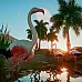 Planet Zoo - Deluxe Edition (PC Steam Key / Global)
