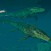 Jurassic World Evolution 3 (PC Steam Κλειδί / Global)
