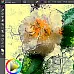 Corel Painter Essentials 8 (Windows) (Lebenslange Lizenz / Global)