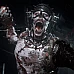 Call of Duty WWII (PC Steam Key / Global)