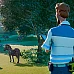 Planet Zoo (PC Steam Key / Global)