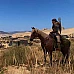 Mount & Blade II: Bannerlord (PC Steam Key / Global)