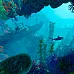 Maneater (PC Epic Games Key / Global)