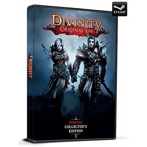 Divinity Original Sin Collectors Edition (PC Steam Key / Global)