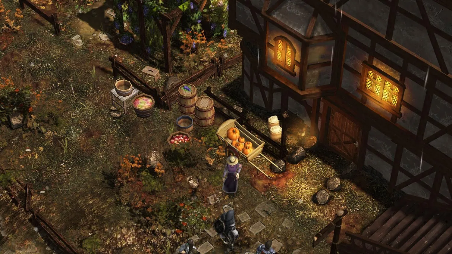 EMBER (PC Steam Key / Global)