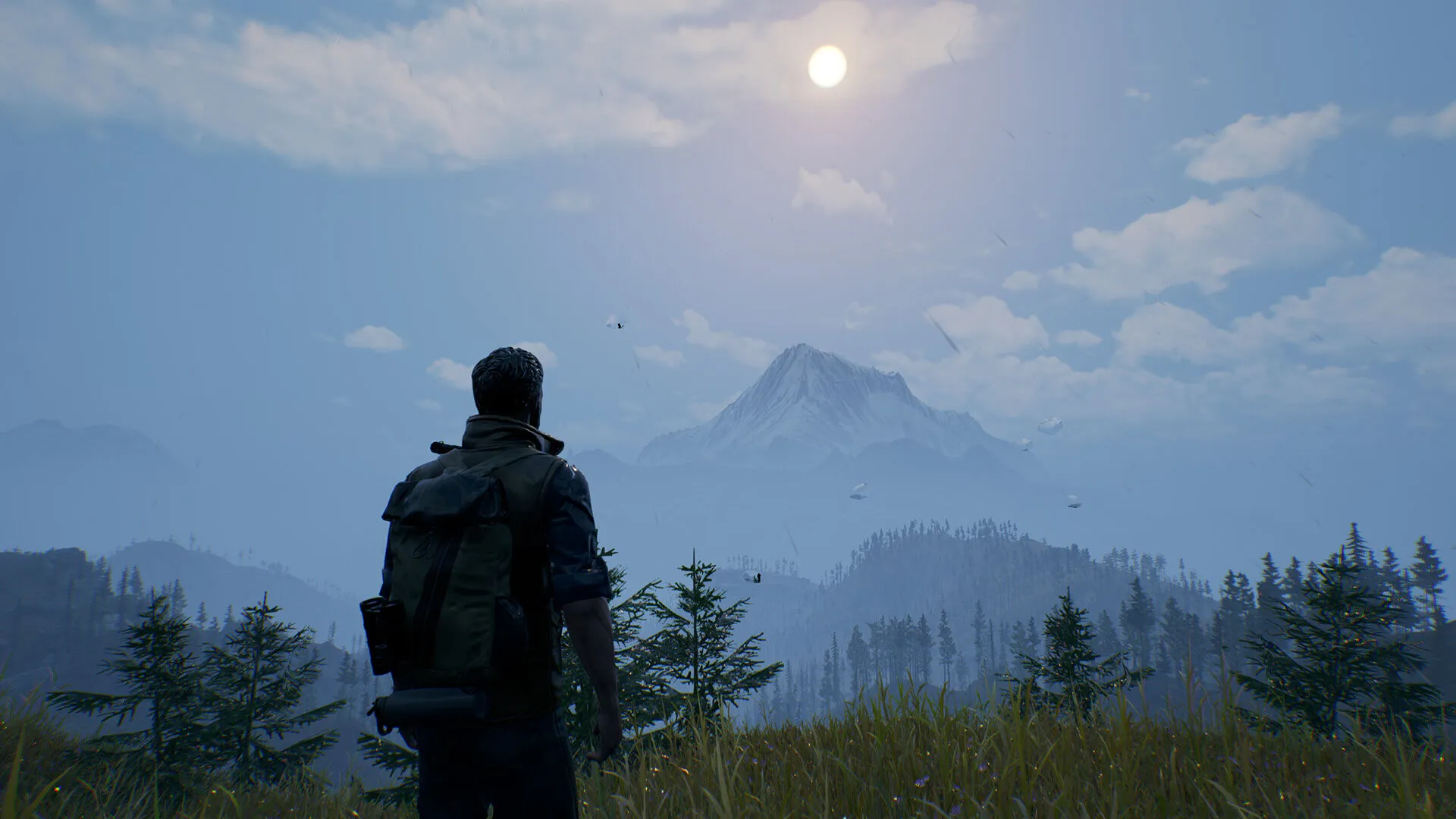 Open Country (PC Steam Key / Global)