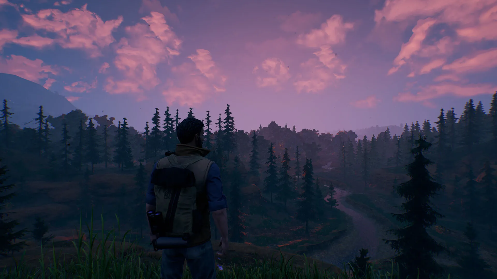 Open Country (PC Steam Key / Global)