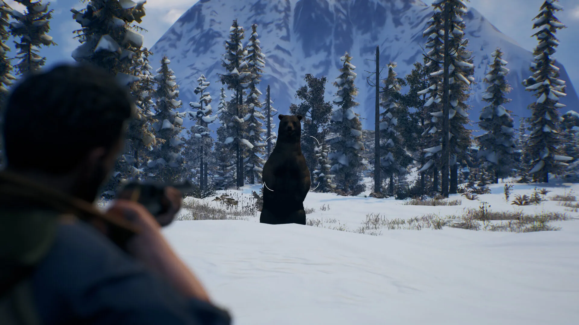 Open Country (PC Steam Key / Global)