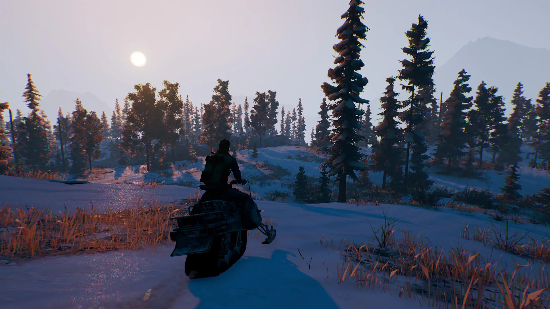 Open Country (PC Steam Key / Global)