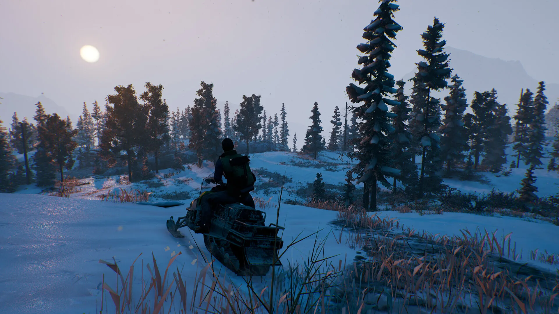 Open Country (PC Steam Key / Global)