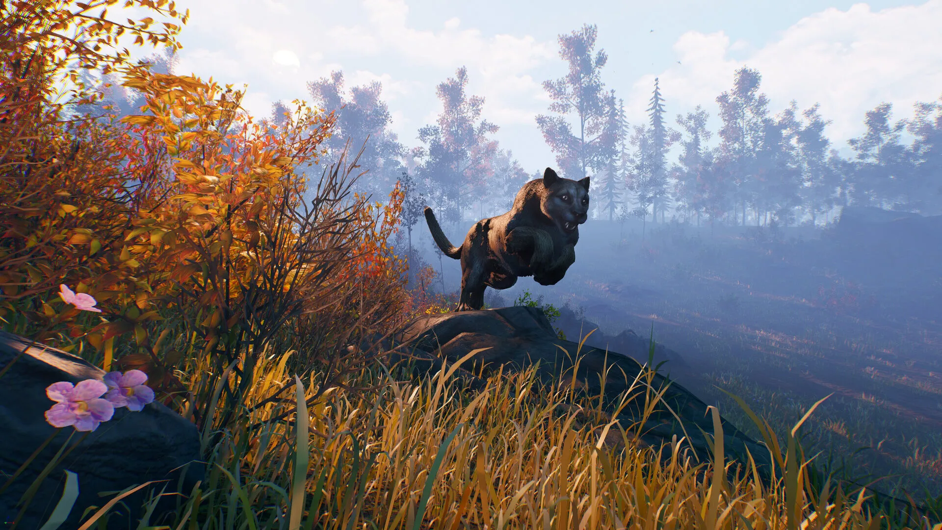 Open Country (PC Steam Key / Global)